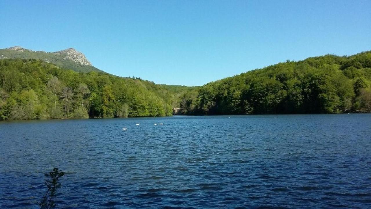 La Pineda De Can Marlet Villa Montseny Exterior photo